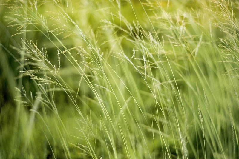Eco-Friendly Wearables